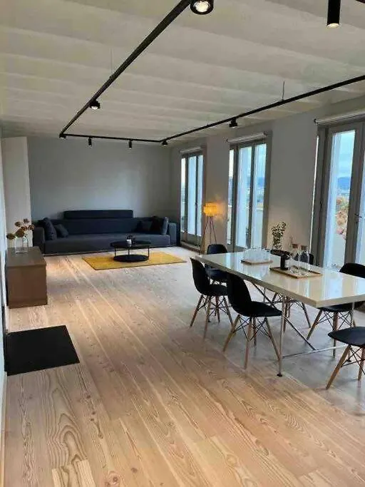Luxury City Penthouse Apartment Wiedeń